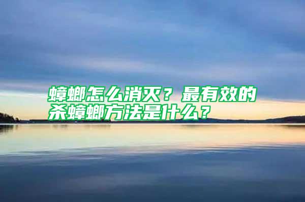 蟑螂怎么消滅？最有效的殺蟑螂方法是什么？