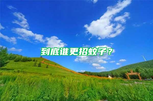 到底誰更招蚊子？