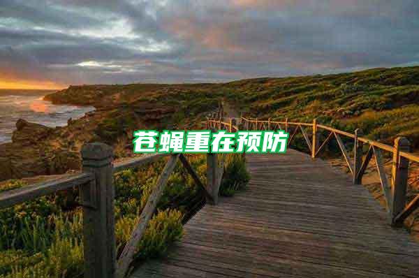 蒼蠅重在預防