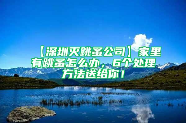 【深圳滅跳蚤公司】家里有跳蚤怎么辦，6個處理方法送給你！