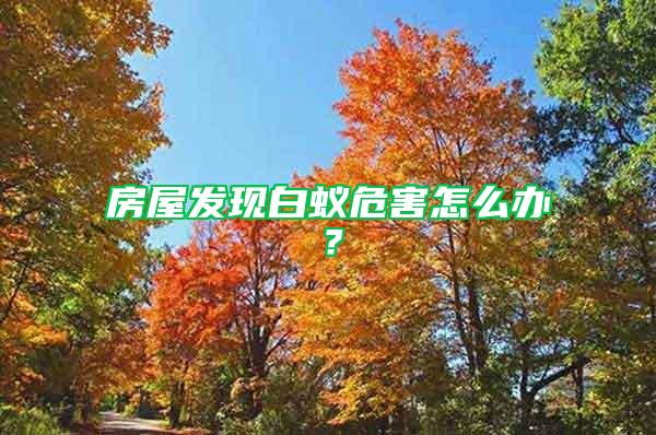 房屋發現白蟻危害怎么辦？