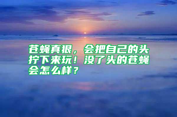 蒼蠅真狠，會把自己的頭擰下來玩！沒了頭的蒼蠅會怎么樣？