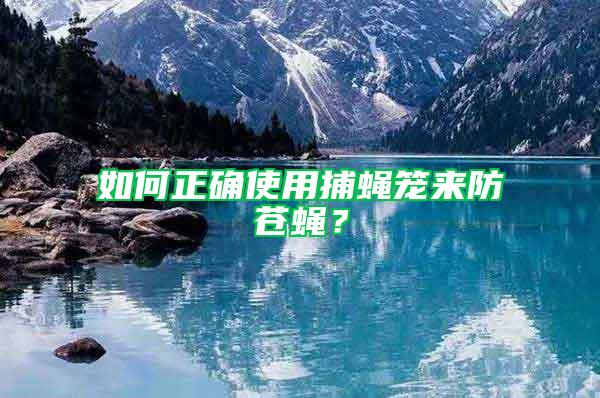 如何正確使用捕蠅籠來防蒼蠅？