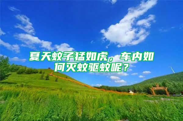 夏天蚊子猛如虎，車內如何滅蚊驅蚊呢？