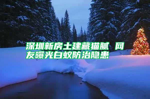 深圳新房土建藏貓膩 網(wǎng)友曝光白蟻防治隱患