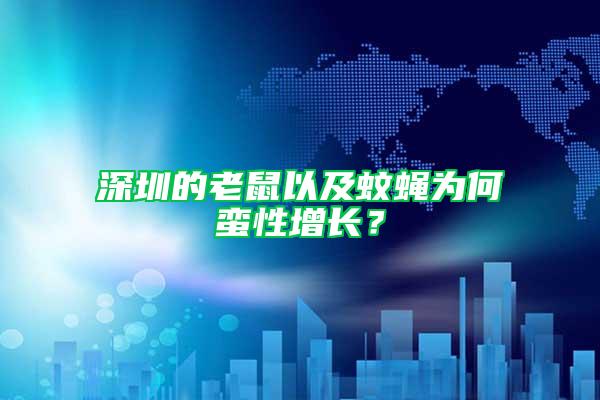 深圳的老鼠以及蚊蠅為何蠻性增長？