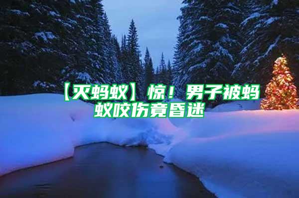 【滅螞蟻】驚！男子被螞蟻咬傷竟昏迷