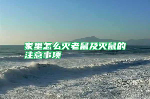 家里怎么滅老鼠及滅鼠的注意事項(xiàng)