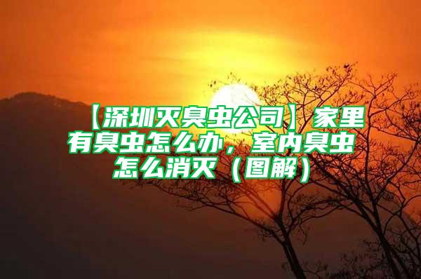 【深圳滅臭蟲公司】家里有臭蟲怎么辦，室內(nèi)臭蟲怎么消滅（圖解）