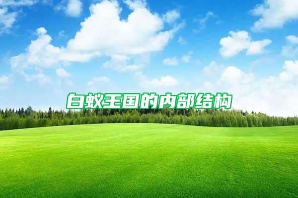白蟻王國的內部結構