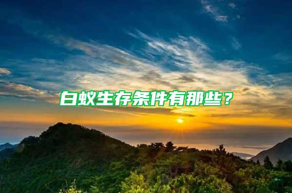白蟻生存條件有那些？