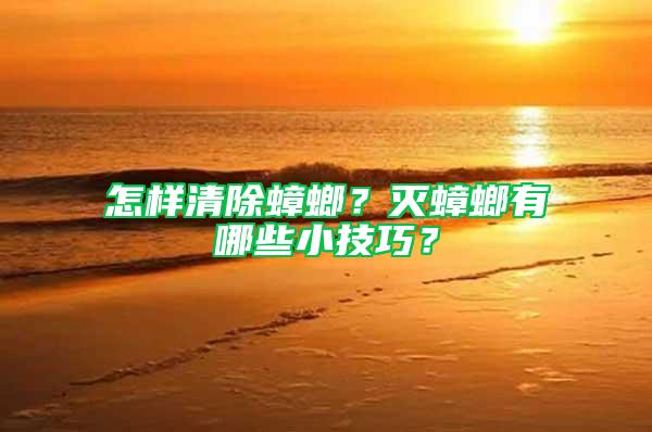 怎樣清除蟑螂？滅蟑螂有哪些小技巧？