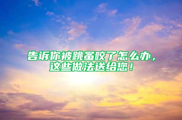 告訴你被跳蚤咬了怎么辦，這些做法送給您！