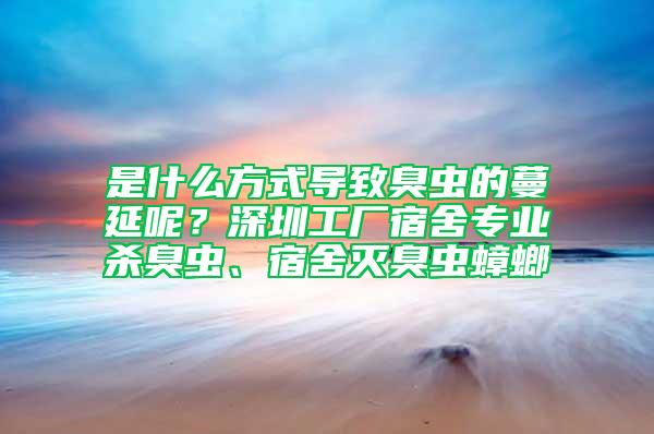 是什么方式導致臭蟲的蔓延呢？深圳工廠宿舍專業殺臭蟲、宿舍滅臭蟲蟑螂