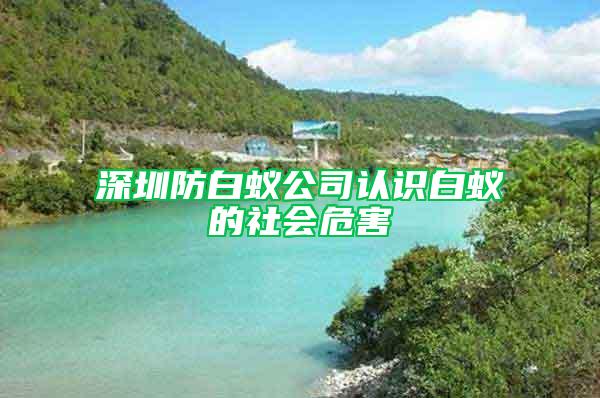 深圳防白蟻公司認(rèn)識(shí)白蟻的社會(huì)危害