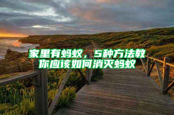 家里有螞蟻，5種方法教你應(yīng)該如何消滅螞蟻