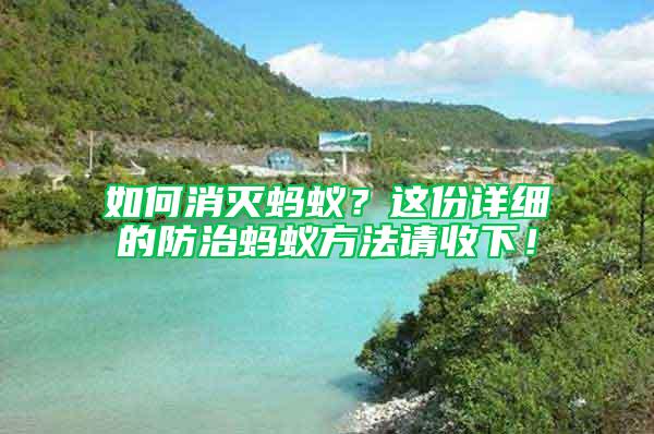 如何消滅螞蟻？這份詳細的防治螞蟻方法請收下！