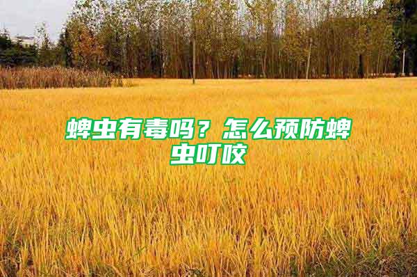 蜱蟲有毒嗎？怎么預(yù)防蜱蟲叮咬