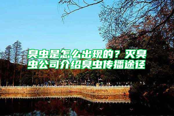 臭蟲是怎么出現的？滅臭蟲公司介紹臭蟲傳播途徑