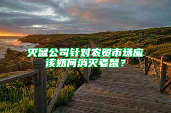 滅鼠公司針對農(nóng)貿(mào)市場應(yīng)該如何消滅老鼠？