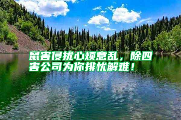 鼠害侵擾心煩意亂，除四害公司為你排憂解難！