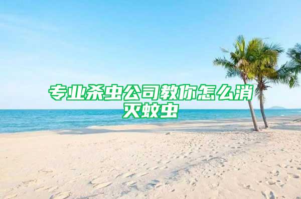 專業(yè)殺蟲(chóng)公司教你怎么消滅蚊蟲(chóng)