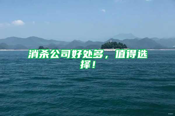 消殺公司好處多，值得選擇！