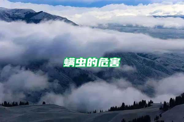 螨蟲(chóng)的危害