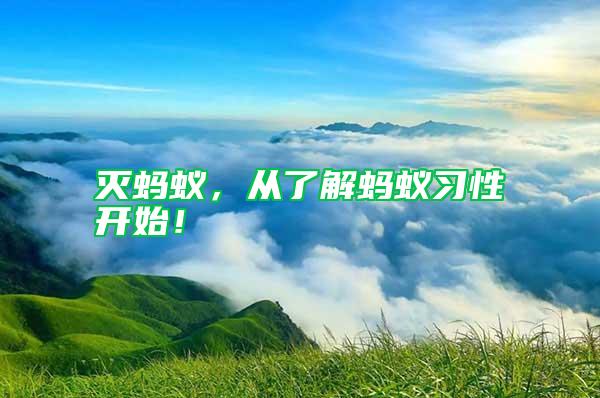 滅螞蟻，從了解螞蟻習性開始！