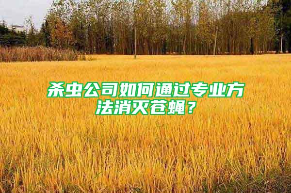 殺蟲公司如何通過專業(yè)方法消滅蒼蠅？