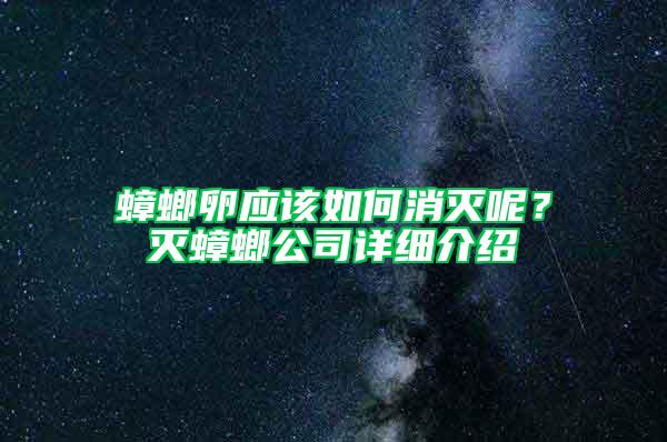 蟑螂卵應(yīng)該如何消滅呢？滅蟑螂公司詳細介紹