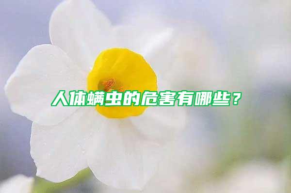 人體螨蟲的危害有哪些？