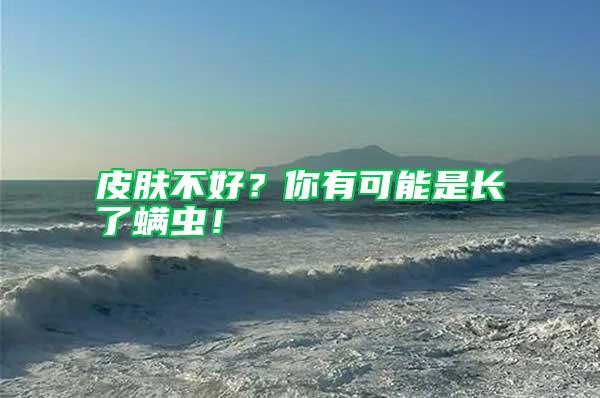 皮膚不好？你有可能是長了螨蟲！