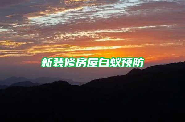 新裝修房屋白蟻預防