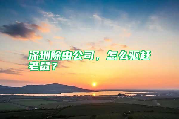 深圳除蟲公司，怎么驅趕老鼠？