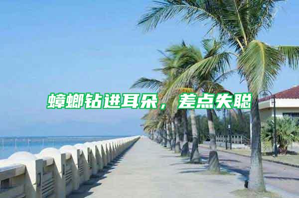 蟑螂鉆進耳朵，差點失聰