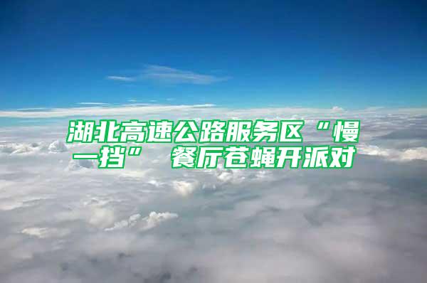 湖北高速公路服務(wù)區(qū)“慢一擋” 餐廳蒼蠅開派對(duì)