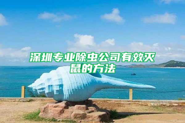 深圳專業除蟲公司有效滅鼠的方法