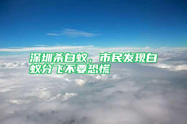 深圳殺白蟻，市民發現白蟻分飛不要恐慌