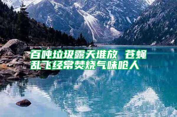 百噸垃圾露天堆放 蒼蠅亂飛經(jīng)常焚燒氣味嗆人