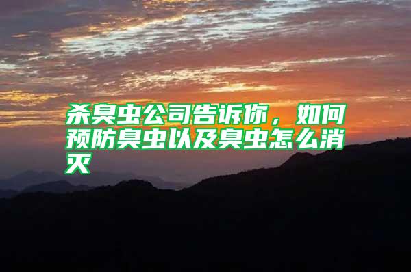 殺臭蟲公司告訴你，如何預防臭蟲以及臭蟲怎么消滅