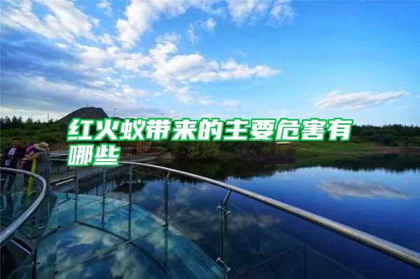 紅火蟻帶來(lái)的主要危害有哪些