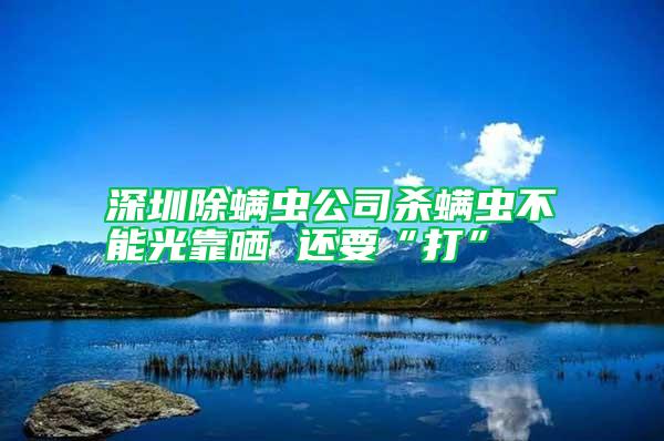 深圳除螨蟲(chóng)公司殺螨蟲(chóng)不能光靠曬 還要“打”