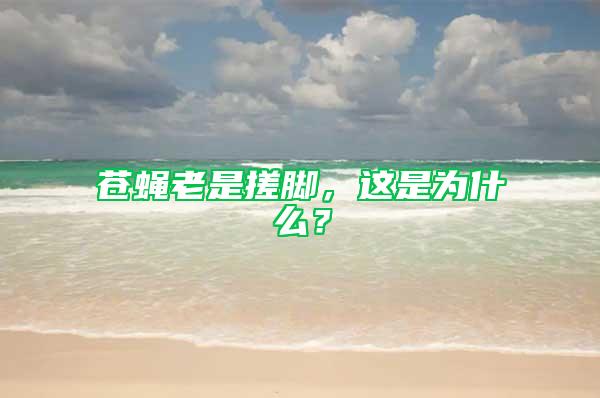 蒼蠅老是搓腳，這是為什么？