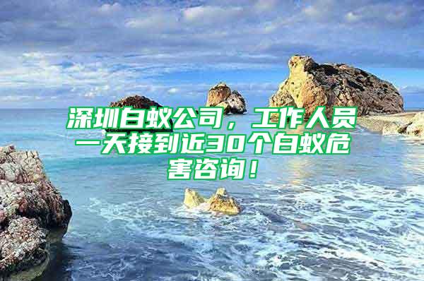 深圳白蟻公司，工作人員一天接到近30個白蟻危害咨詢！