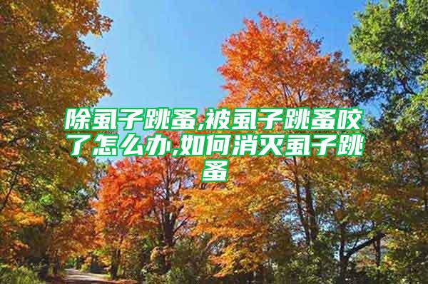 除虱子跳蚤,被虱子跳蚤咬了怎么辦,如何消滅虱子跳蚤