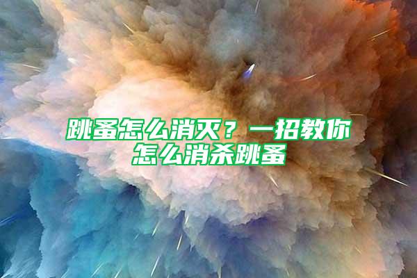 跳蚤怎么消滅？一招教你怎么消殺跳蚤
