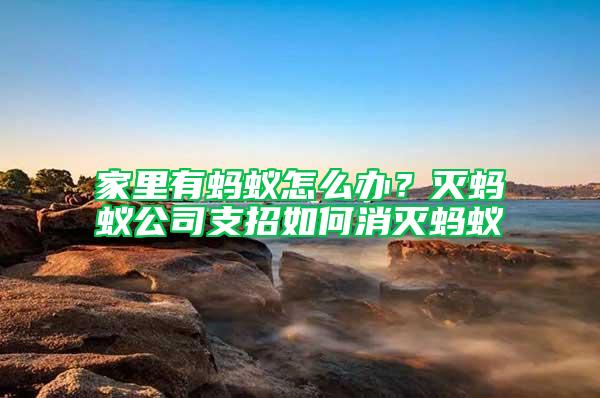 家里有螞蟻怎么辦？滅螞蟻公司支招如何消滅螞蟻