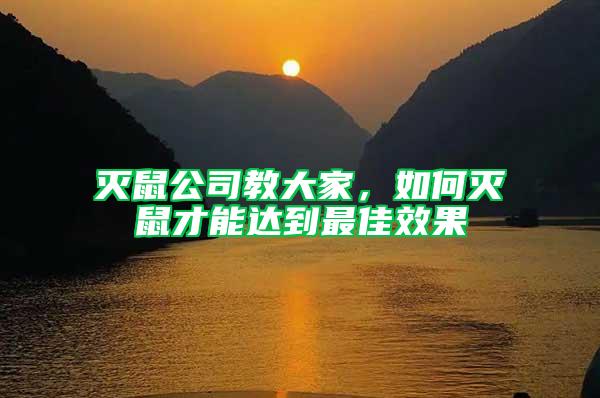 滅鼠公司教大家，如何滅鼠才能達(dá)到最佳效果