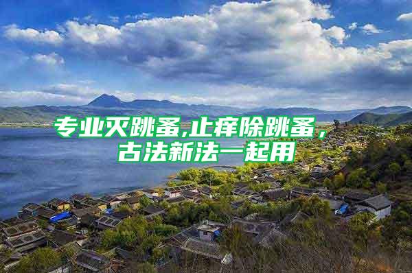 專業滅跳蚤,止癢除跳蚤， 古法新法一起用